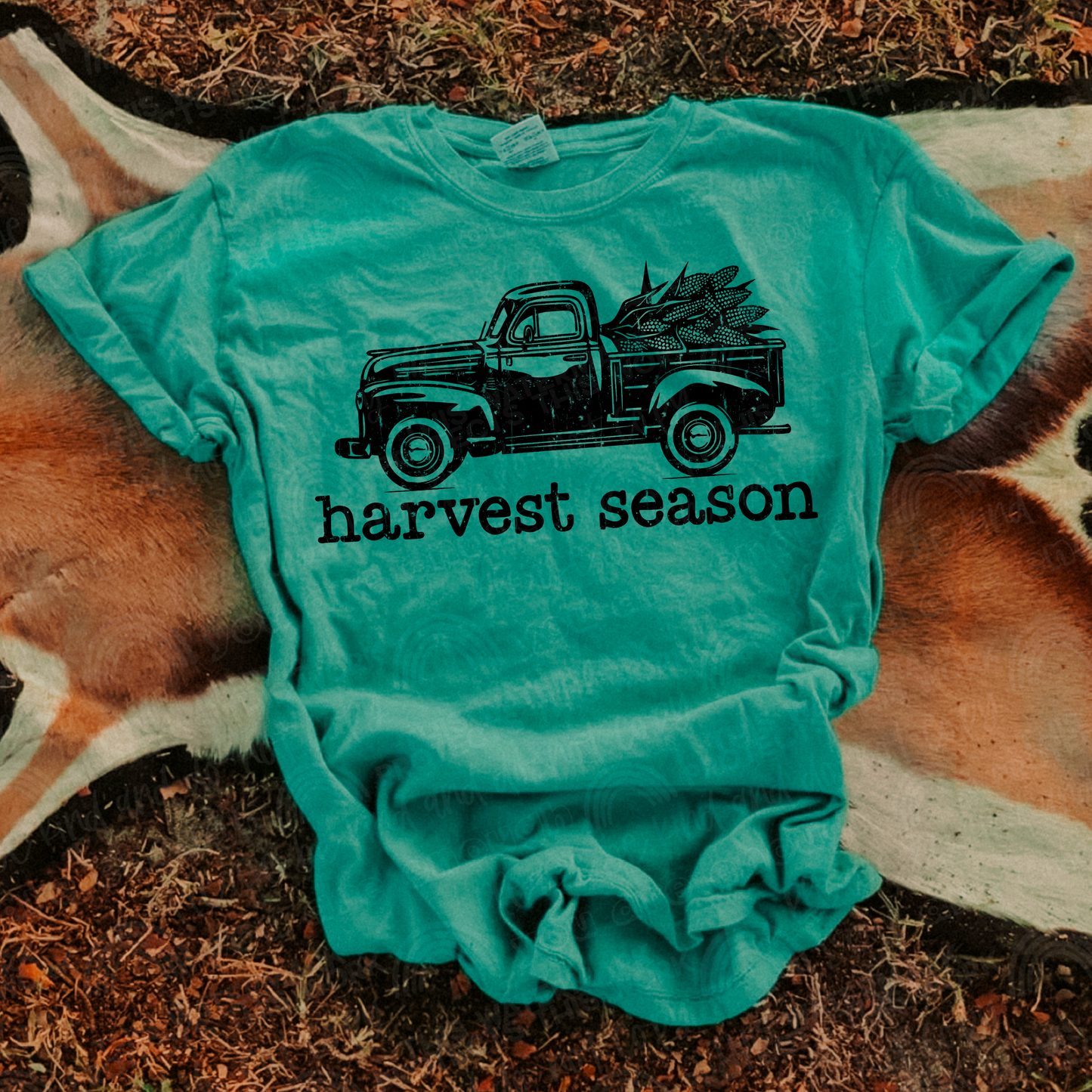 Harvest Season Black Font
