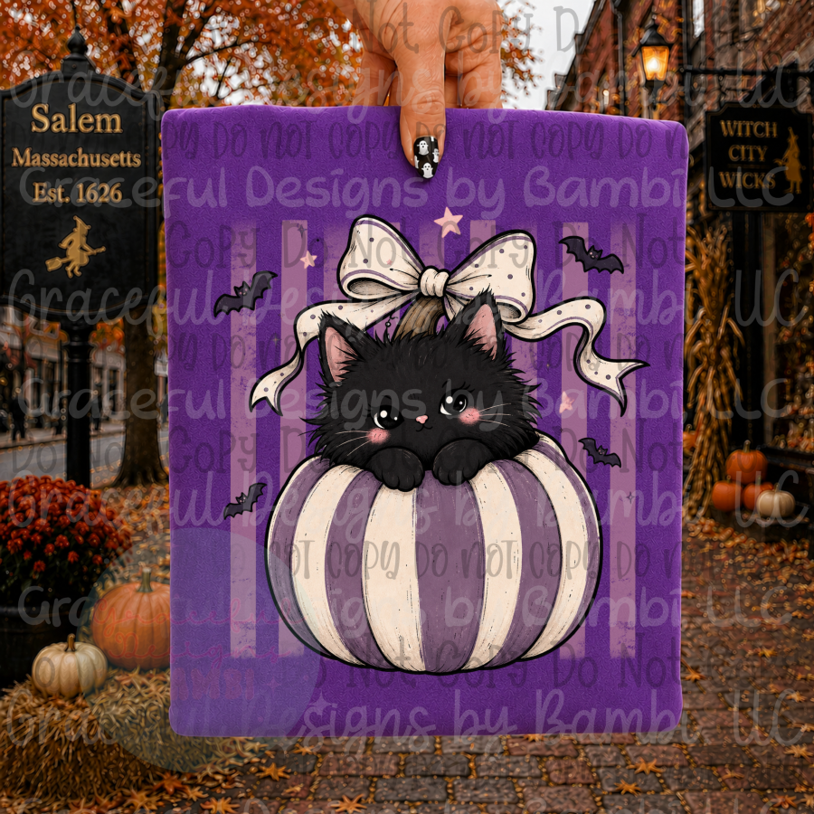 Pumpkin Bats and Cat