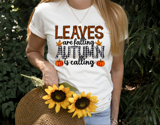 Leaves are Falling