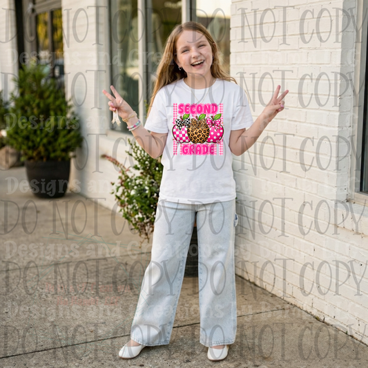 Trio of Apple Bright Pink School Grade Collection