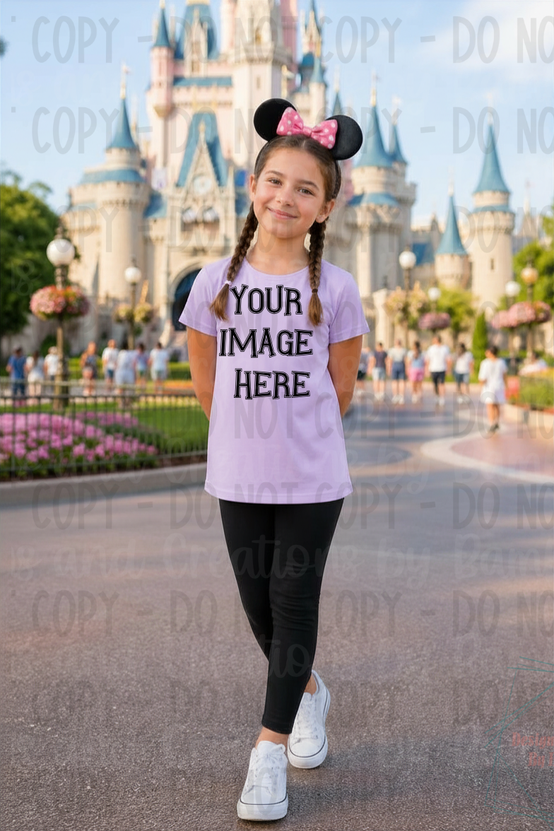 Variety of Theme Park Tshirt Gildan Apparel Mock Ups