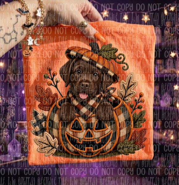 Faux Embroidery Pumpkin and Dog Collection
