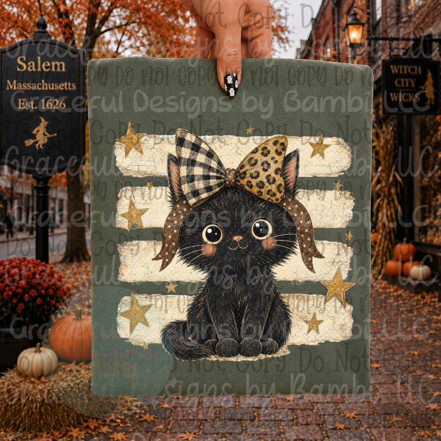 Cute Black Cat