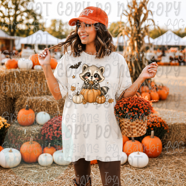 Fall Racoon and Pumpkin