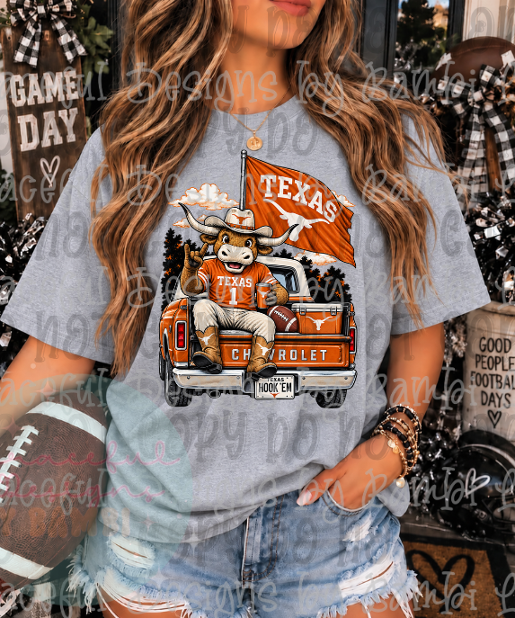 Vintage Chevrolet Truck Football Collection