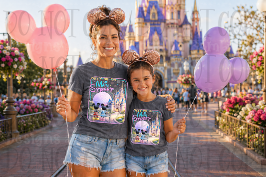 Main Street and Magic Kingdom