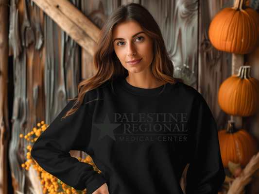 Palestine Regional Medical Center in Pewter Gray Font