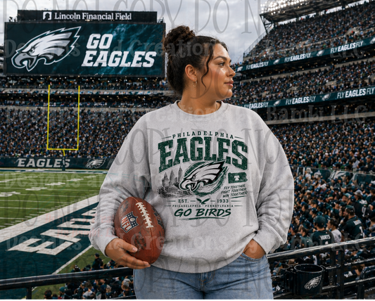 Faux Embroidery Philadelphia Eagles Go Birds