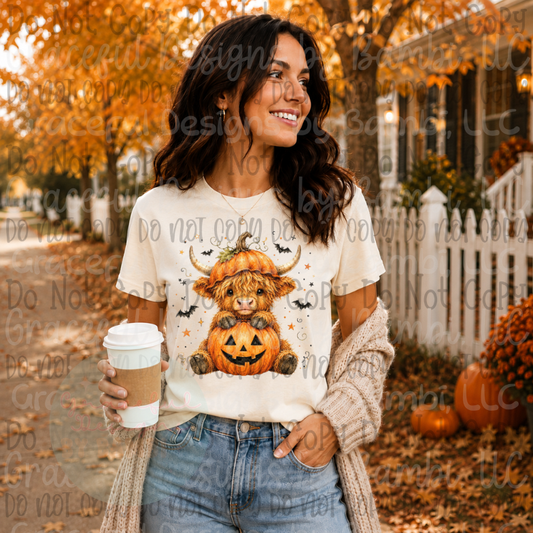 Pumpkin Highland Cow