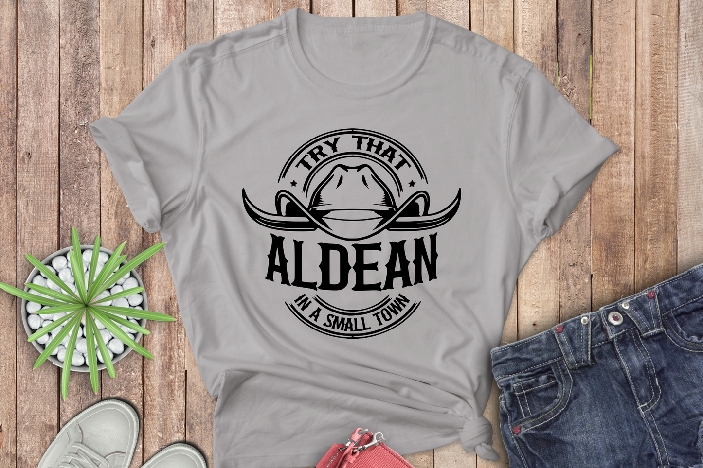 Aldean- Try that in a Small Town