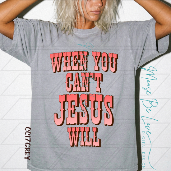 When You Can't Jesus Will Pink Coral Font