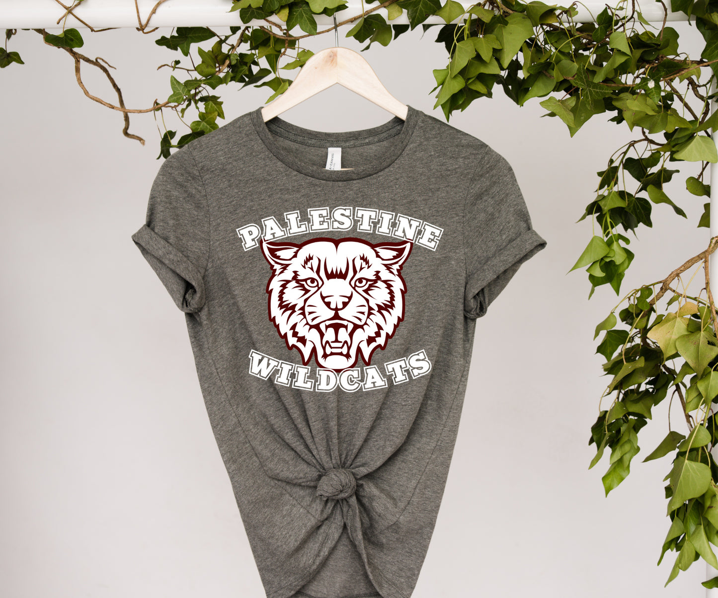 Palestine Wildcats with Wildcat Face